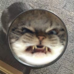 SkimMilk.'s Avatar'