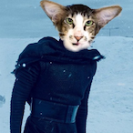 Gato_Ren's Avatar'