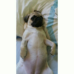 IsaqueMarostika's Avatar'