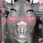 iichud's Avatar'