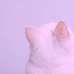 Facet_2F5L's Avatar'