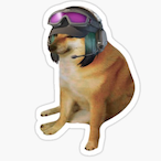 Austriacraft's Avatar'