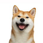 BloopsVEVO's Avatar'