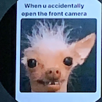 FatalCascade225's Avatar'