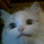 Skyzmaster2kOTC's Avatar'