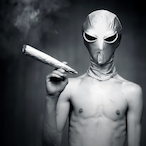 Dravik556's Avatar'