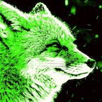 qwxcrr's Avatar'
