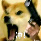 XiaoQQX's Avatar'