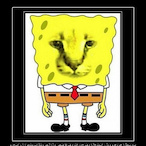 BubbaChanga's Avatar'