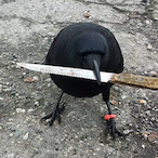 Halu_Succock's Avatar'