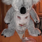 TwoTurtleMating's Avatar'