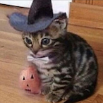 Edohc__'s Avatar'