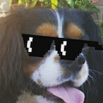 PPI_Matte's Avatar'