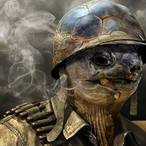OManTurtle's Avatar'