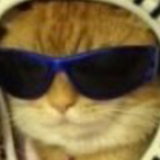 BFT.Noah's Avatar'