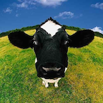 funkejunke456's Avatar'
