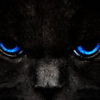 FOYSAL_1997's Avatar'