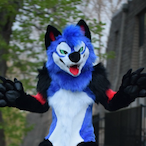 IsucFoxDiks's Avatar'