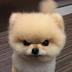 XxGabr0xX's Avatar'