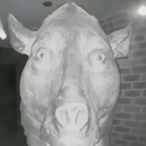 PhatCoc68's Avatar'