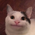 DavidTaylor_97's Avatar