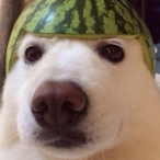Hawaiiiian's Avatar'