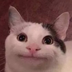 littlewalken's Avatar'