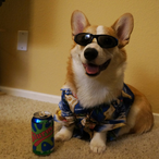 drmachoz.2EZ4US's Avatar'