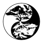 Sol.Yin's Avatar'