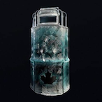 shieldneedbuff's Avatar'
