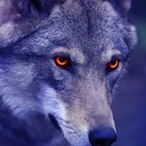 Wolf-Chronical's Avatar'