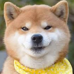 BOM_Spring_D's Avatar'