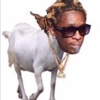 EnwardHardarr's Avatar'