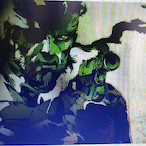 Orimiro's Avatar'