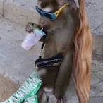 TheFrankSoup14's Avatar'