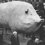 Encrypted_Oats's Avatar'