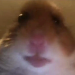 LDottyTooGirthy's Avatar'