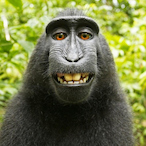 Ruehl_Maggus's Avatar'