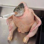 Gurt.Bunkly's Avatar'