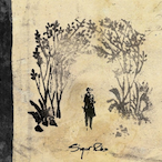 X1MF0RL1F35127's Avatar'