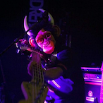 bull_monkey_1980's Avatar'
