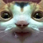 Project_Aurora's Avatar'