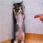 we can learn's Avatar'