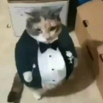 furry_killer_'s Avatar'