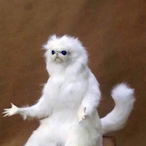 GrabTheArmor's Avatar'