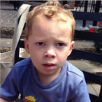 Dshindiggle's Avatar'