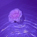 tyqe.'s Avatar'