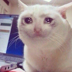 VNM-aptalsinki's Avatar'