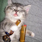 crazymapes1934's Avatar'