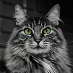 OolacileBead's Avatar'